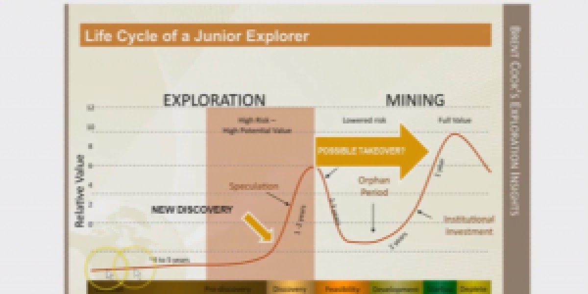 Photo: Investing in Mineral Discoveries - Steve Todoruk, March 2014